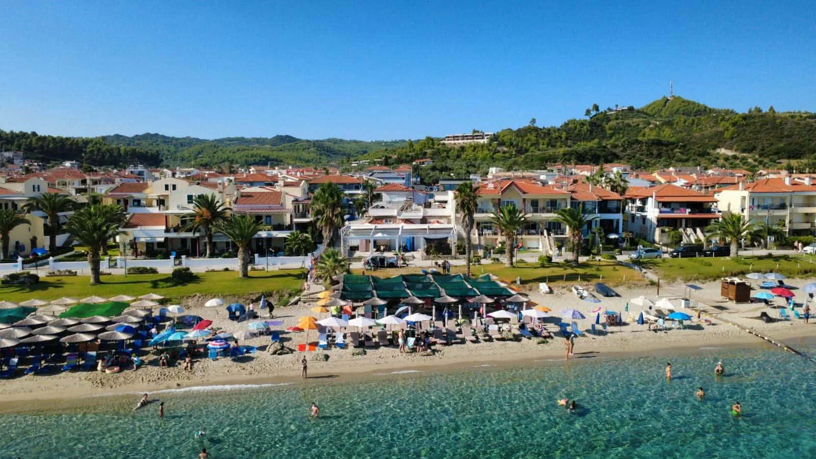 Aerial photograph of ALYSEA beachfront and green canopy